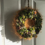 living wreath using sedums and Semperviviums. Hanging wreaths. sustainable, eco friendly