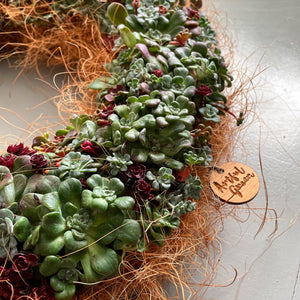 Sedum Sympathy Wreath- living Wreath